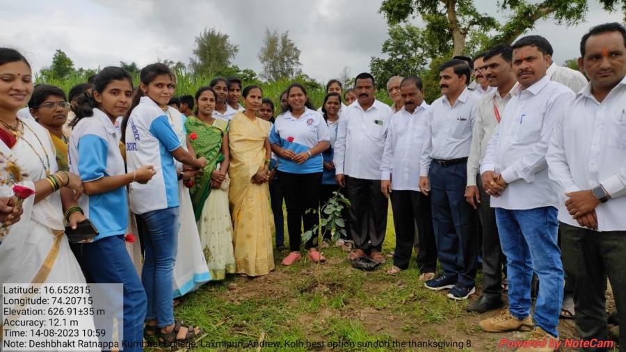 Tree Plantation Under 