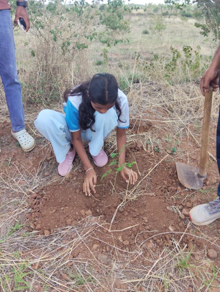 Tree Plantation 28.06.26